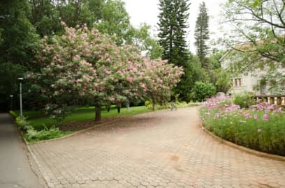 Campus Environment view 4